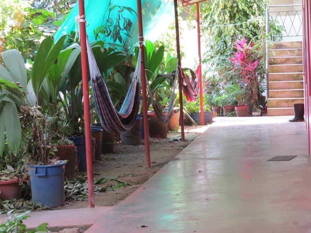 Tambopata Hostel Bambu Πουέρτο Μαλντονάντο Εξωτερικό φωτογραφία