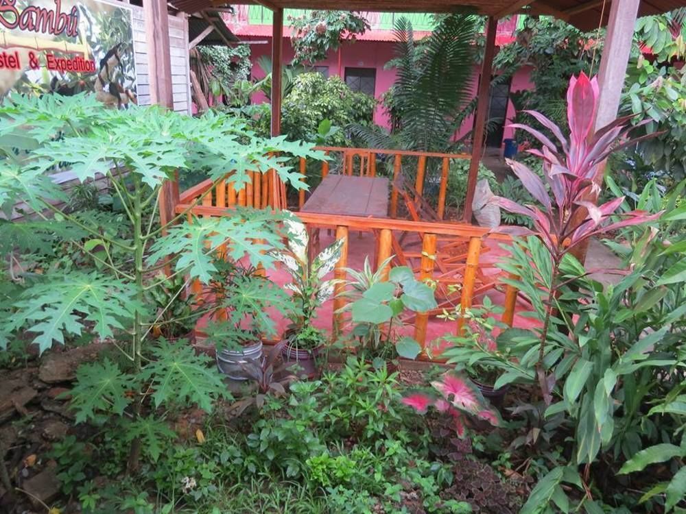 Tambopata Hostel Bambu Πουέρτο Μαλντονάντο Εξωτερικό φωτογραφία