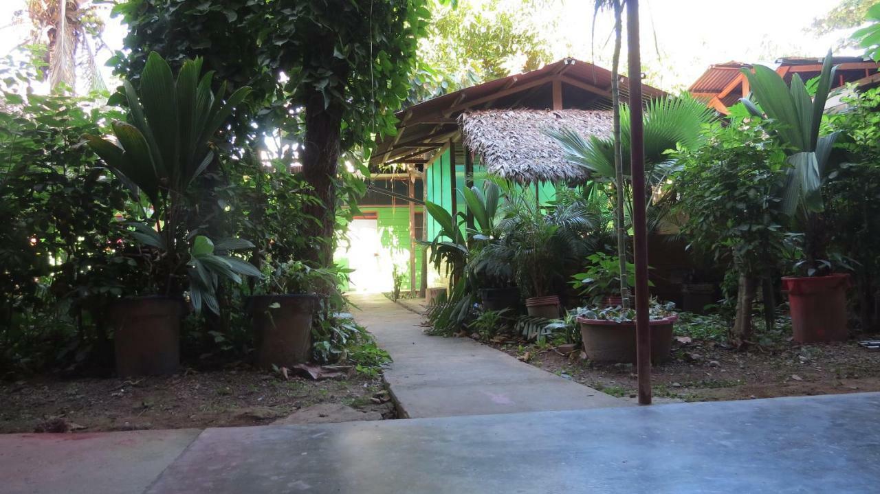 Tambopata Hostel Bambu Πουέρτο Μαλντονάντο Εξωτερικό φωτογραφία