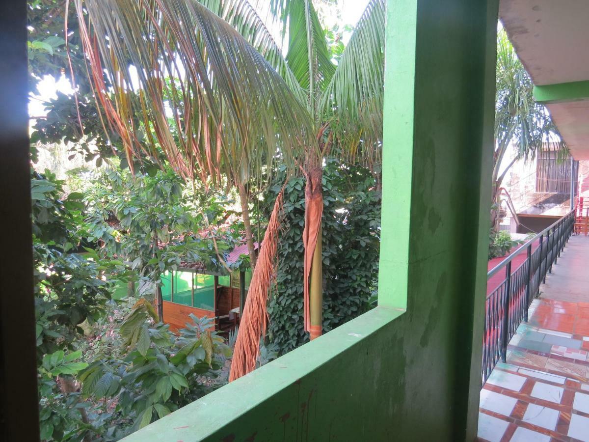 Tambopata Hostel Bambu Πουέρτο Μαλντονάντο Εξωτερικό φωτογραφία